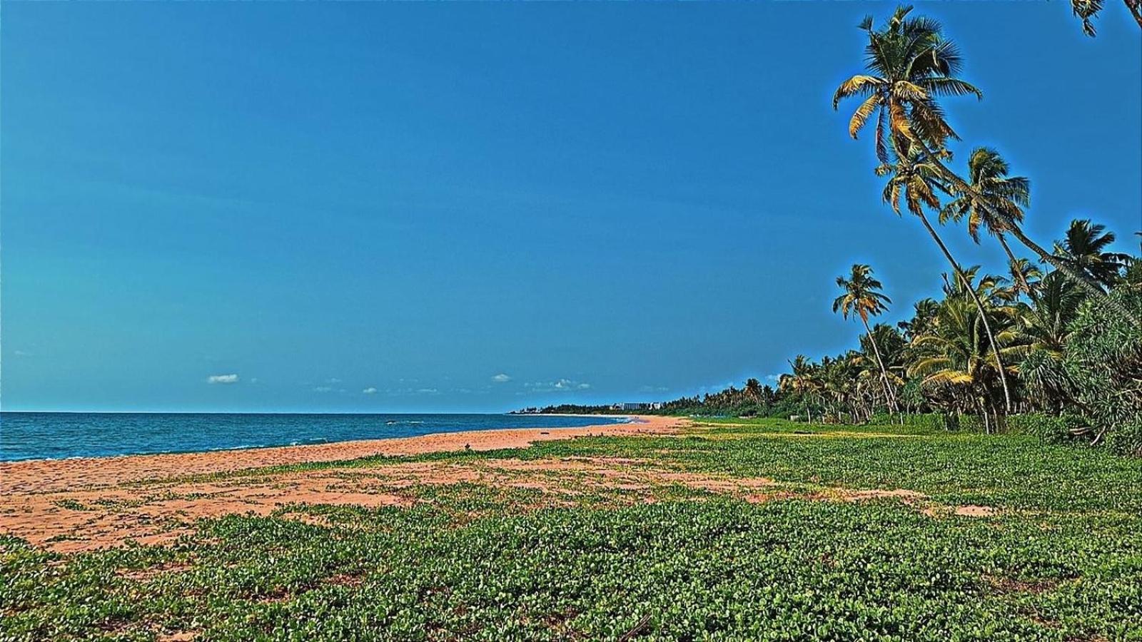 Raja Beach Hotel Balapitiya Extérieur photo