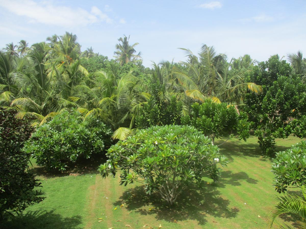 Raja Beach Hotel Balapitiya Extérieur photo