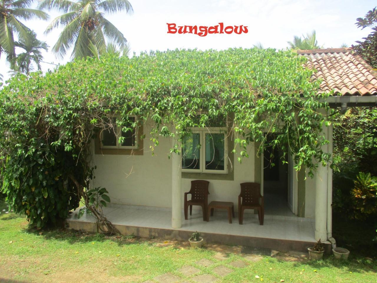 Raja Beach Hotel Balapitiya Extérieur photo