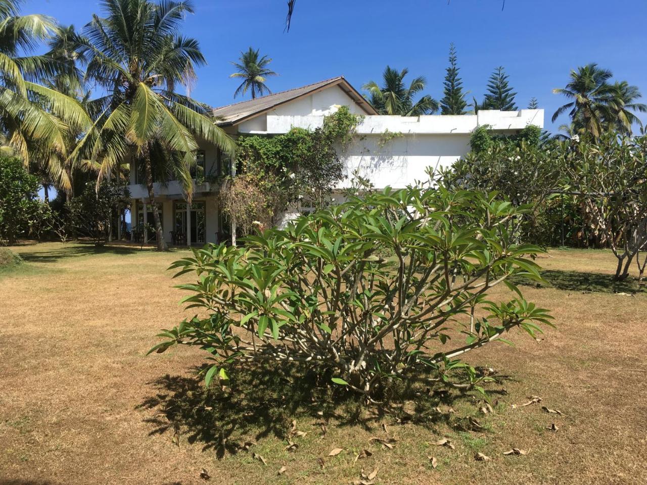 Raja Beach Hotel Balapitiya Extérieur photo