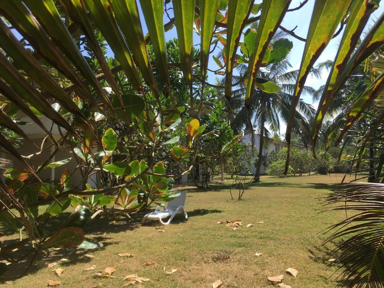 Raja Beach Hotel Balapitiya Extérieur photo