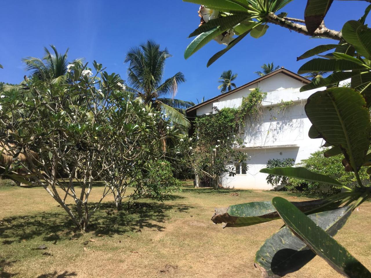 Raja Beach Hotel Balapitiya Extérieur photo