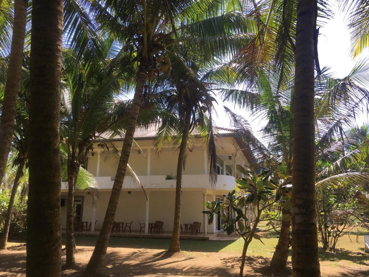 Raja Beach Hotel Balapitiya Extérieur photo