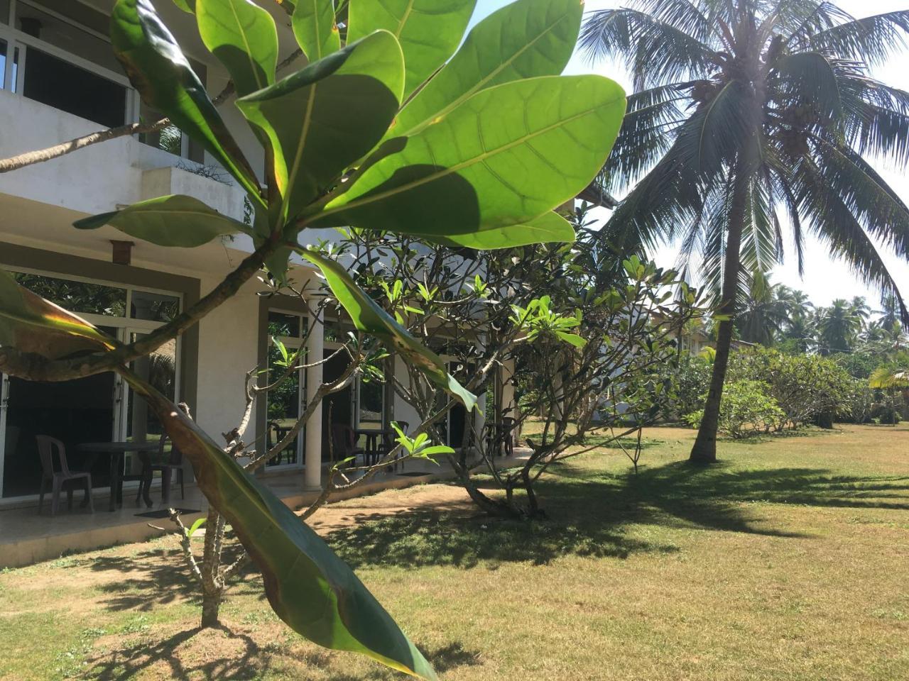 Raja Beach Hotel Balapitiya Extérieur photo