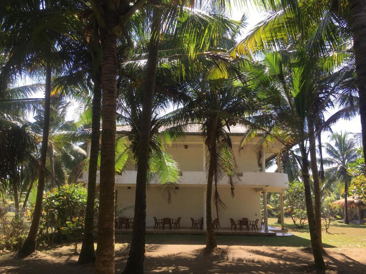 Raja Beach Hotel Balapitiya Extérieur photo