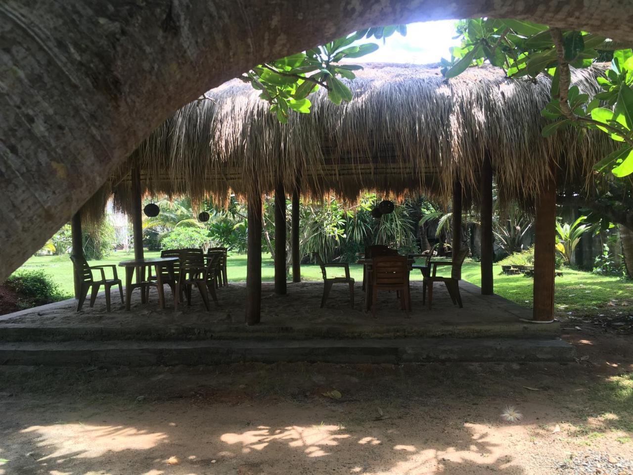 Raja Beach Hotel Balapitiya Extérieur photo